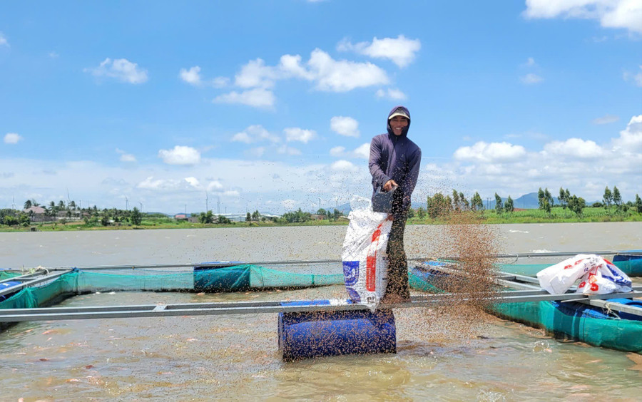 Nuôi cá lồng bè trên lòng hồ thủy điện mang lại sinh kế ổn định cho nhiều hộ dân ở xã Cửu An. Ảnh: Trần Thúy z6829817970737-76f9d5ae4cab811beeff4d59727126fc.jpg