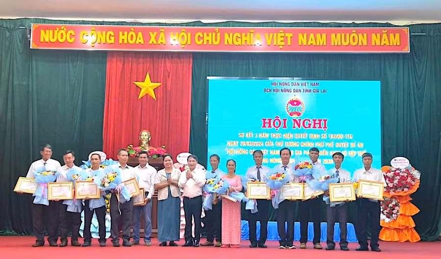 nang-cao-hieu-qua-hoat-dong-cua-kinh-te-tap-the-trong-nong-nghiep.jpg