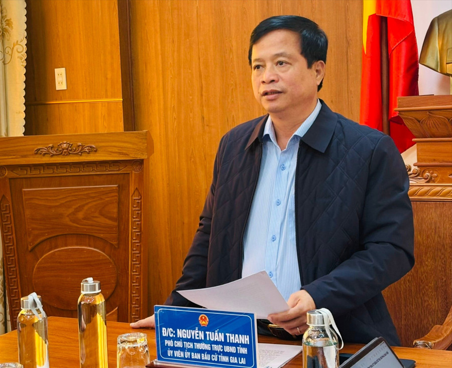 Phó Chủ tịch Thường trực UBND tỉnh Nguyễn Tuấn Thanh phát biểu chỉ đạo tại buổi kiểm tra. Ảnh: Xuân Định