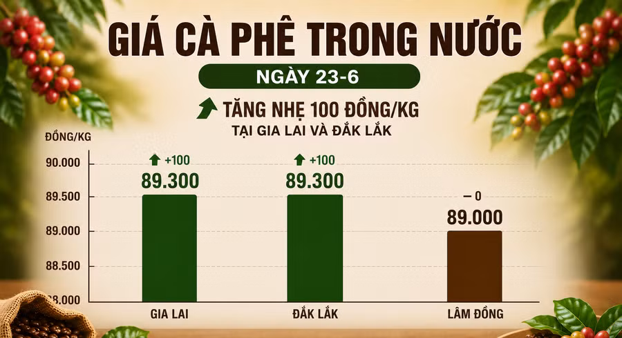 gia-ca-phe-trong-nuoc-ngay-23-6-2377.png