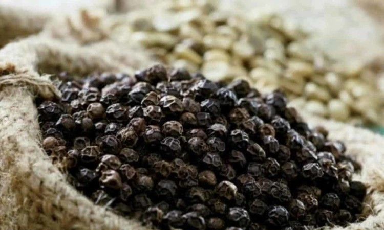 Giá hồ tiêu ngày 27-8 trong nước đi ngang, riêng ở Gia Lai tăng nhẹ 500 đồng/kg. Ảnh: Internet ht.jpg