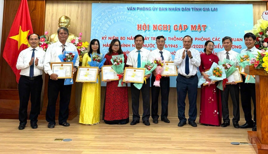 Lãnh đạo UBND tỉnh trao giấy khen cho các cá nhân điển hình tiêu biểu. Ảnh: N.H a1.jpg