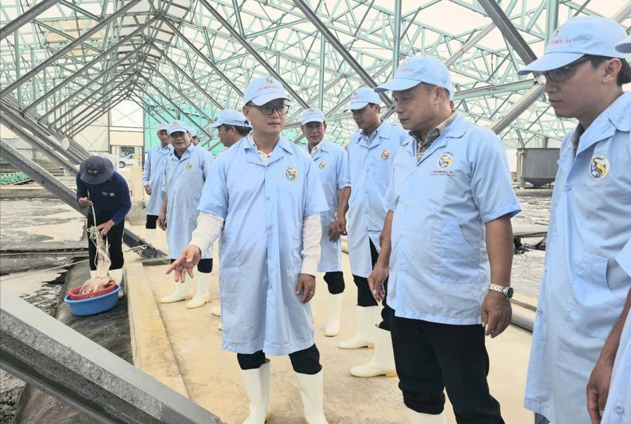 Phó Chủ tịch UBND tỉnh Dương Mah Tiệp (thứ hai từ phải sang) thăm mô hình nuôi tôm công nghệ cao của Công ty TNHH Việt Úc-Phù Mỹ. Ảnh: Đức Hải 12-5.jpg