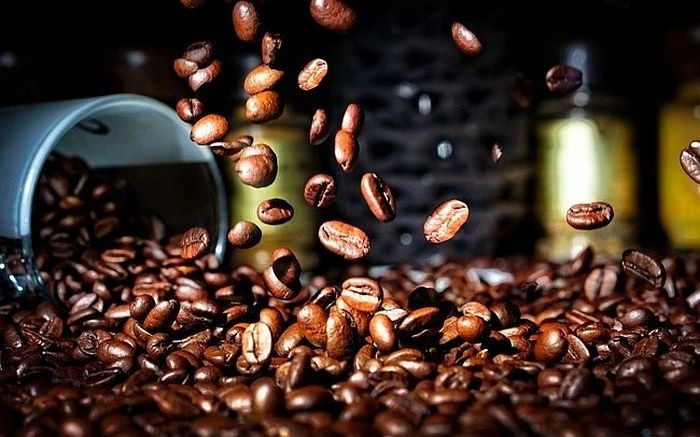 Ngày 16-10, cà phê tại Gia Lai giao dịch ở mốc 113.500 đồng/kg. Ảnh: Internet giam-700-dong-ca-phe-tai-gia-lai-giao-dich-o-moc-113500-dongkg.jpg