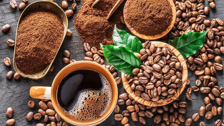 Giá cà phê trong nước ngày 10-8 tăng từ 1.000-2.500 đồng/kg so với hôm qua. Ảnh: Internet caphe.jpg