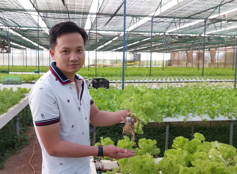 Anh Nguyễn Nam Phong-Phó Giám đốc Công ty TNHH MTV Hương đất An Phú vinh dự là 1 trong 63 nông dân tiêu biểu được tặng danh hiệu "Nông dân Việt Nam xuất sắc'' năm 2025. Ảnh: N.D anh-nguyen-nam-phong-trong-nha-long-trong-rau-thuy-canh.jpg