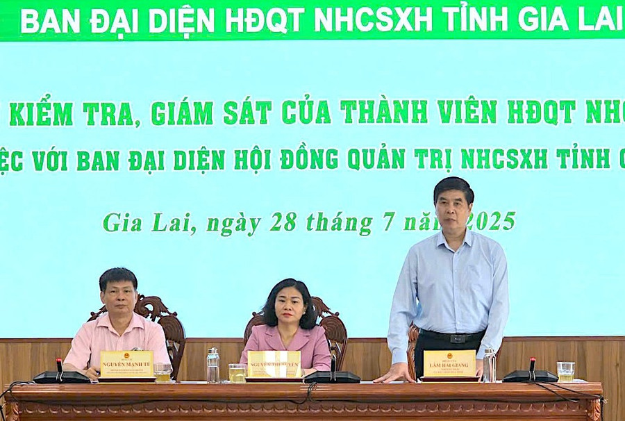 Phó Chủ tịch UBND tỉnh Lâm Hải Giang phát biểu tại buổi làm việc. Ảnh: Hồng Thương z6849299369335-44cf4e89107d5c8a7a555a06c7f8852e.jpg