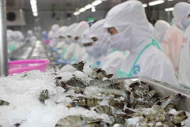 Giá trị xuất khẩu tháng 7-2025 của ngành hàng thủy sản đạt 950 triệu USD. Ảnh: Internet Giá trị xuất khẩu tháng 7-2025 của ngành hàng thủy sản đạt 950 triệu USD. Ảnh: Internet