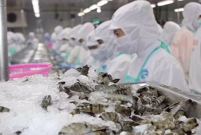Giá trị xuất khẩu tháng 7-2025 của ngành hàng thủy sản đạt 950 triệu USD. Ảnh: Internet