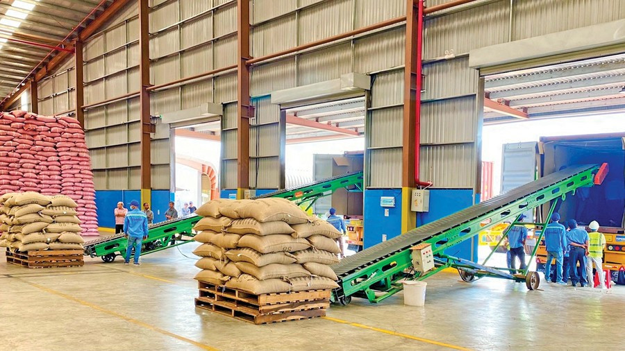 Cà phê là mặt hàng có giá trị xuất khẩu lớn nhất với 1,1 triệu tấn và 6 tỷ USD trong 7 tháng năm 2025. Ảnh: V.T 1.jpg