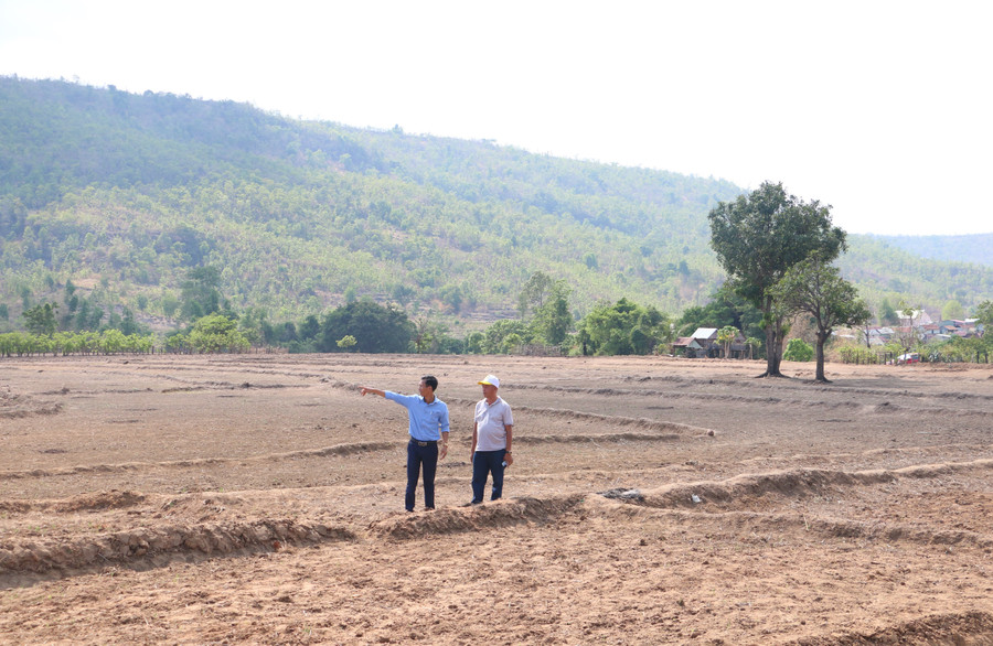Gia Lai triển khai thi hành các quy định về phân định, phân quyền, phân cấp thẩm quyền trong lĩnh vực đất đai khi thực hiện chính quyền địa phương 2 cấp. Ảnh minh họa: M.T ky-2-hang-tram-ha-dat-cua-nguoi-dan-xa-ayun-huyen-chu-se-van-dang-cho-dong-nuoc-mat-tu-thuy-loi-plei-keo-anh-quang-tan.jpg