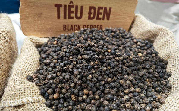 Giá hồ tiêu có sự tăng giảm trái chiều trong ngày cuối năm 2025. Ảnh: Internet