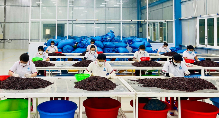 Nghị định số 235/2025/NĐ-CP của Chính phủ điều chỉnh đối tượng áp dụng chính sách khuyến công. Ảnh: V.T 18-17314625718701877606478.jpg