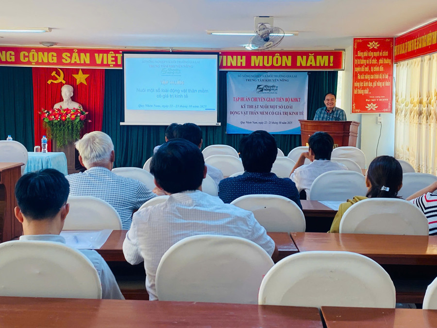 Quang cảnh lớp tập huấn. Ảnh: T.N cac-hoc-vien-tham-gia-tap-huan.jpg