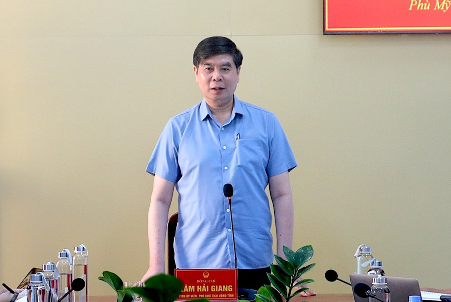 Phó Chủ tịch UBND tỉnh Lâm Hải Giang phát biểu chỉ đạo tại buổi làm việc. Ảnh: Bình Dương hinh-2.jpg
