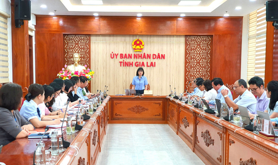 Phó Chủ tịch UBND tỉnh Nguyễn Thị Thanh Lịch phát biểu tại cuộc họp. Ảnh: Kim Hường anh-2.jpg