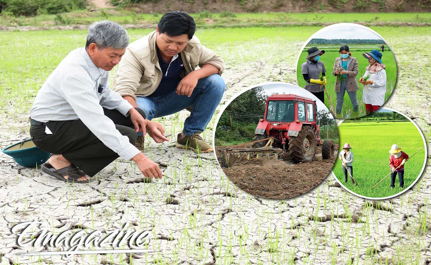 Vụ mùa 2022: Nguy cơ hạn cục bộ