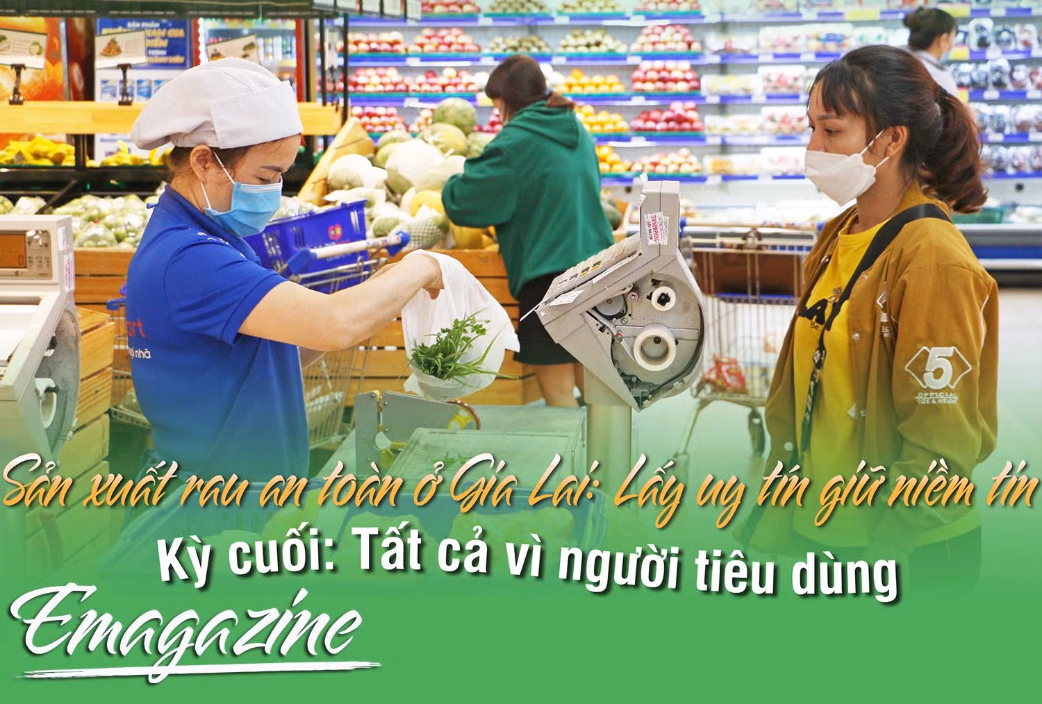 Sản xuất rau an toàn ở Gia Lai: Lấy uy tín giữ niềm tin-Kỳ cuối: Tất cả vì người tiêu dùng