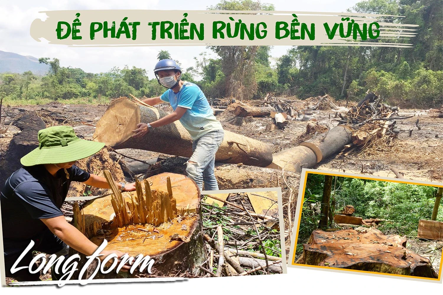 Để phát triển rừng bền vững-Kỳ 1: Rừng vẫn "chảy máu"