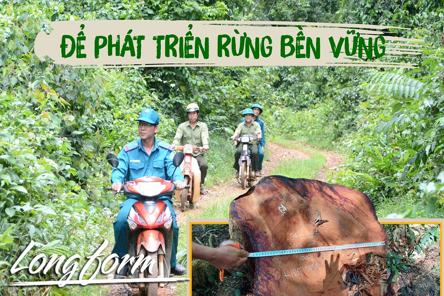 Để phát triển rừng bền vững-Kỳ 3: Dấu chân những người giữ rừng