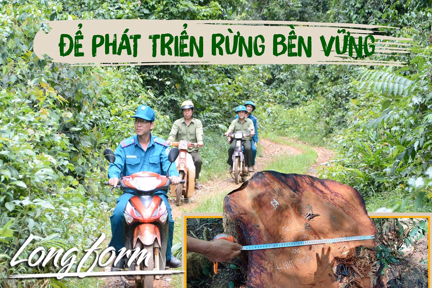 Để phát triển rừng bền vững-Kỳ 3: Dấu chân những người giữ rừng
