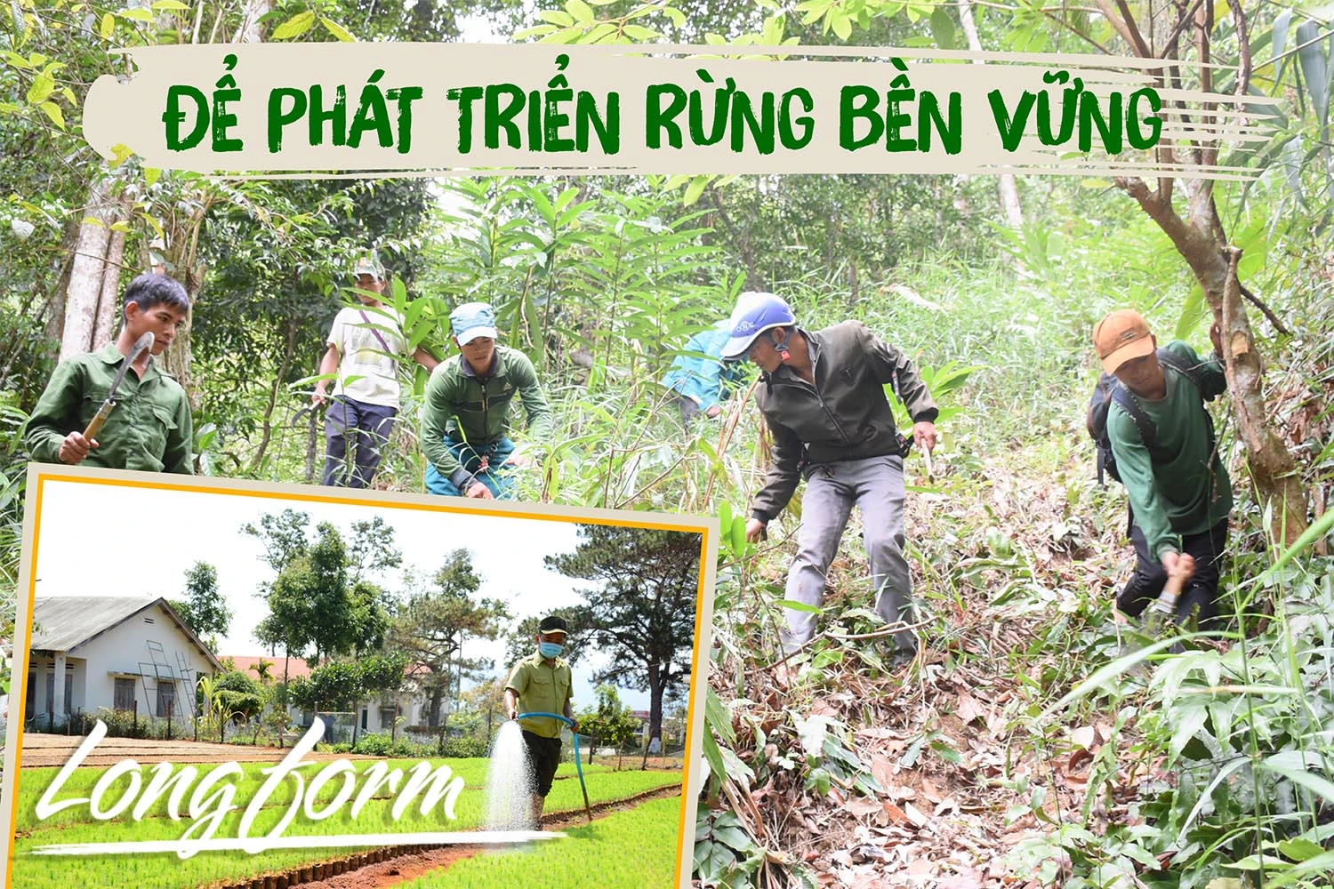 Để phát triển rừng bền vững-Kỳ cuối: Bảo vệ rừng gắn với bảo đảm cuộc sống người dân