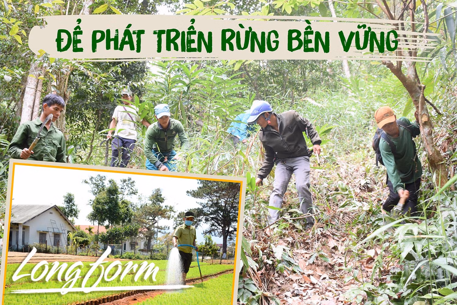 Để phát triển rừng bền vững-Kỳ cuối: Bảo vệ rừng gắn với bảo đảm cuộc sống người dân