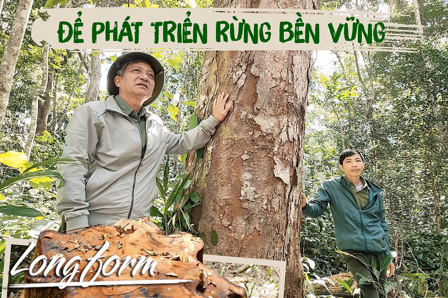 Để phát triển rừng bền vững-Kỳ 2: Áp lực và nguy hiểm