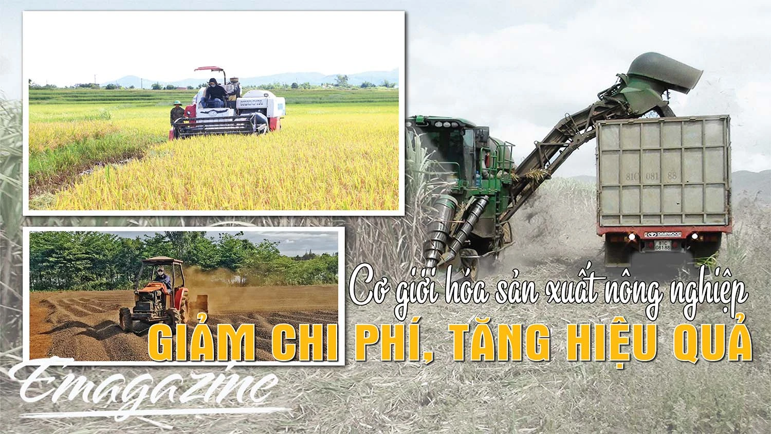 Cơ giới hóa sản xuất nông nghiệp: Giảm chi phí, tăng hiệu quả