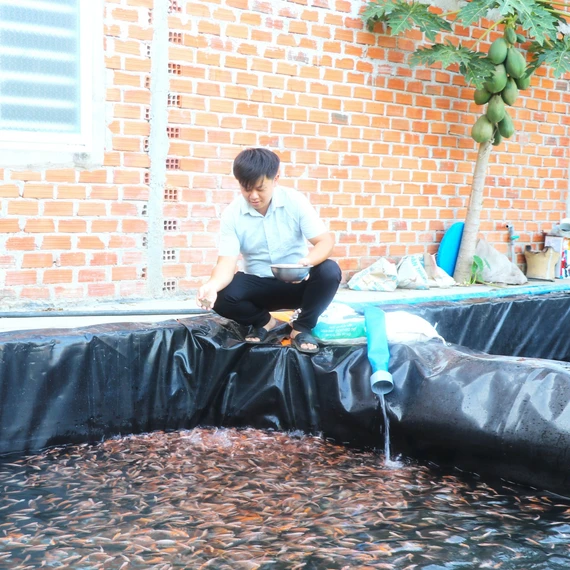 Làm giàu nhờ ứng dụng công nghệ hiện đại vào nuôi cá