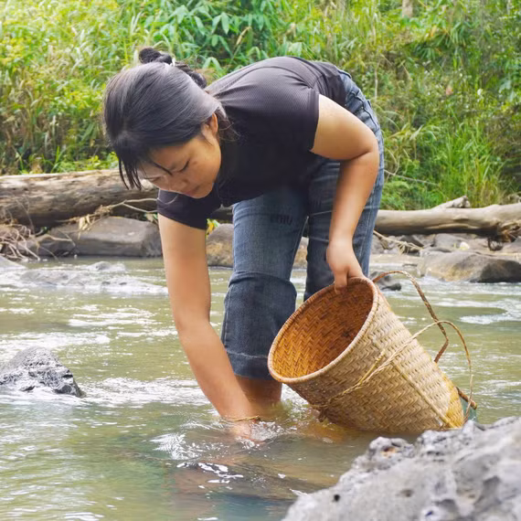 “Săn” ốc đá giữa đại ngàn