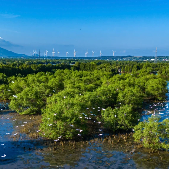Đại sứ quán Pháp tại Việt Nam tài trợ tổ chức khóa học nhiếp ảnh tại khu vực đầm Thị Nại, dành cho tối đa 12 nhiếp ảnh gia Việt Nam