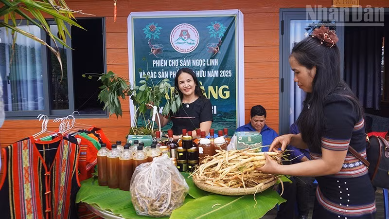 Huyện Tu Mơ Rông phát triển đa dạng các sản phẩm từ dược liệu.