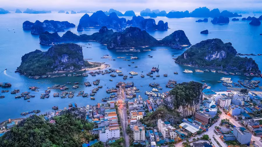 Vịnh Bái Tử Long, Vân Đồn