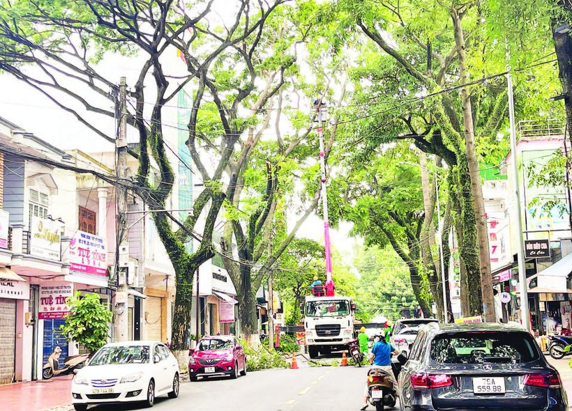 Công nhân Công ty cổ phần Đô thị và Môi trường Đắk Lắk tổ chức cắt tỉa tán cây xanh trên đường Lý Thường Kiệt, thành phố Buôn Ma Thuột bảo đảm an toàn trong mùa mưa năm 2025. Công nhân Công ty cổ phần Đô thị và Môi trường Đắk Lắk tổ chức cắt tỉa tán cây xanh trên đường Lý Thường Kiệt, thành phố Buôn Ma Thuột bảo đảm an toàn trong mùa mưa năm 2025.