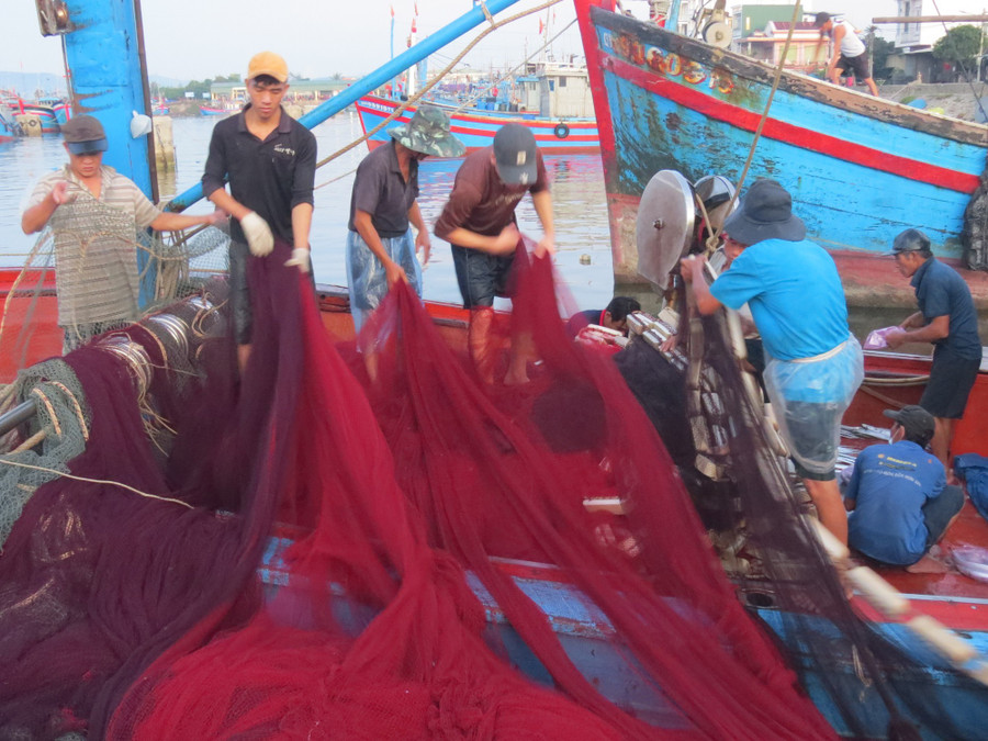 Mọi người giũ lưới và sắp xếp gọn gàng sau chuyến ra khơi Mọi người giũ lưới và sắp xếp gọn gàng sau chuyến ra khơi