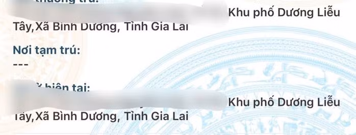 VNeID đã cập nhật tỉnh Bình Định thành tỉnh Gia Lai