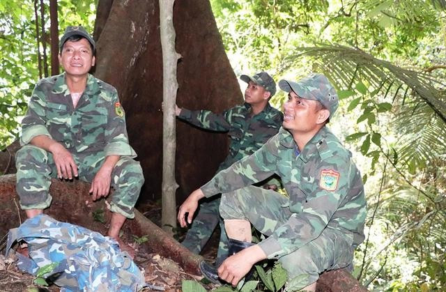 Chàng trai Hốil Trân (đầu tiên từ phải qua) từng tiếp tay cho lâm tặc phá rừng giờ quay lại để trả nợ bằng cách tận tâm bảo vệ Chàng trai Hốil Trân (đầu tiên từ phải qua) từng tiếp tay cho lâm tặc phá rừng giờ quay lại để trả nợ bằng cách tận tâm bảo vệ
