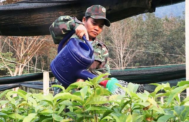 Từng bị tù treo vì phá hoại rừng, anh Ríah Nhiếp quay sang làm công việc bảo vệ rừng như một cách để trả nợ rừng xanh Từng bị tù treo vì phá hoại rừng, anh Ríah Nhiếp quay sang làm công việc bảo vệ rừng như một cách để trả nợ rừng xanh