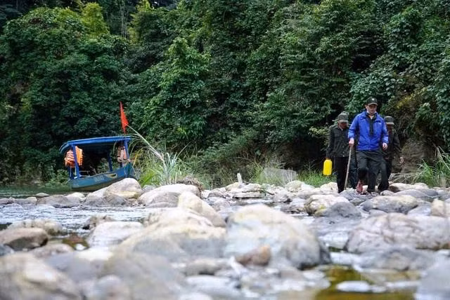 “Biệt đội” Trạm quản lý bảo vệ rừng số 4 thầm lặng giữ rừng lim cổ thụ