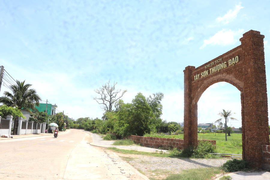 Cây ké Rộc Trường bên đường Nguyễn Lữ trong khu di tích Tây Sơn Thượng đạo cao chót vót, uy nghiêm như như vị thần canh giữ, bảo vệ không gian linh thiêng đình làng. Ảnh: Ngọc Minh cay-ke-roc-truong-ben-duong-nguyen-lu-trong-khu-di-tich-tay-son-thuong-dao-cao-chot-vot-uy-nghiem-nhu-nhu-vi-than-canh-giu-bao-ve-khong-gian-linh-thieng-dinh-lang-anh-ngoc-minh.jpg