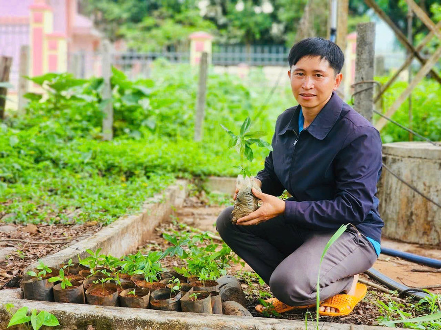 Anh Nguyễn Cảnh Bá- Bí thư Đoàn xã Kon Thụp kiểm tra số mai vàng vừa được chi đoàn mang lên để gom đợi đến ngày ra quân trồng. Ảnh: N.H anh-nguyen-canh-ba-bi-thu-doan-xa-kon-thup-kiem-tra-so-mai-vang-vua-duoc-chi-doan-mang-len-de-gom-doi-den-ngay-ra-quan-trong.jpg