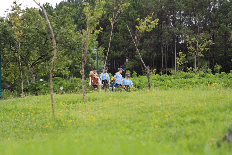 Đà Lạt không chỉ là “thành phố ngàn hoa” trên danh nghĩa, mà là một biểu tượng sống động của vẻ đẹp, sự tinh tế và bản sắc riêng biệt