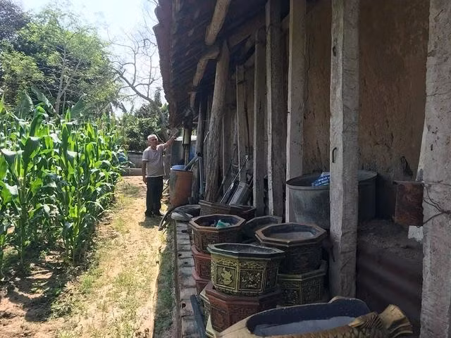 Ngôi nhà cổ của cụ Mười Chương nếu không trùng tu sớm sẽ đối mặt với nguy cơ ngã đổ trong mùa mưa