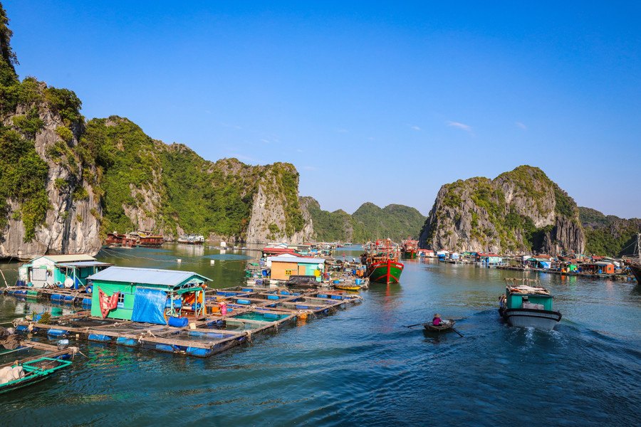 Cuộc sống trên vịnh Cát Bà Cuộc sống trên vịnh Cát Bà