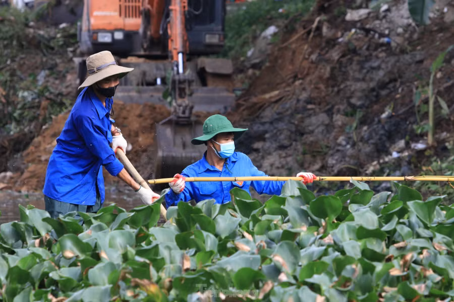 Ngâm mình hàng giờ dưới dòng khe để làm việc.