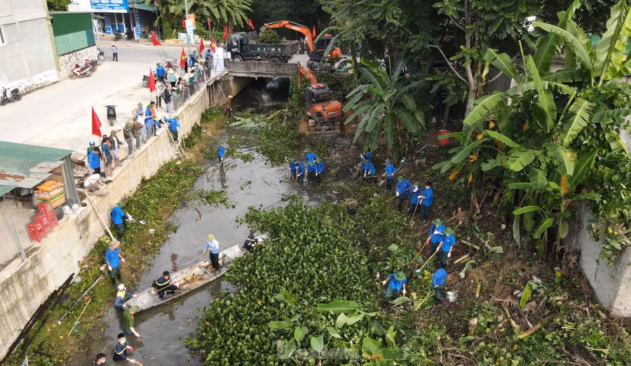 Đoàn viên thanh niên cùng các lực lượng chức năng xuống dòng khe để dọn rác, dọn bèo lục bình.