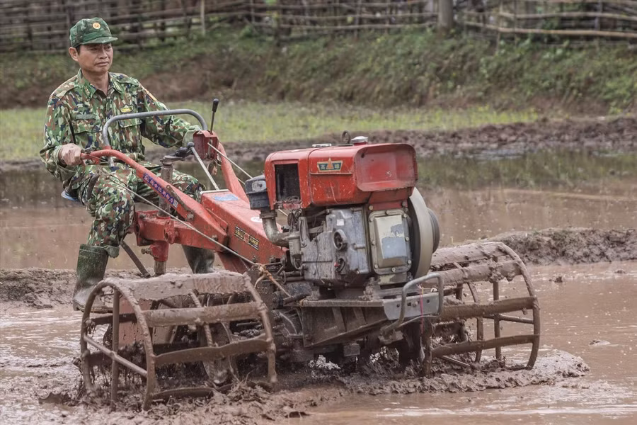 Trung tá Phan Văn Năm tranh thủ cày cho xong thửa ruộng trước ngày nghỉ hưu. Ảnh: Lê Văn Chương