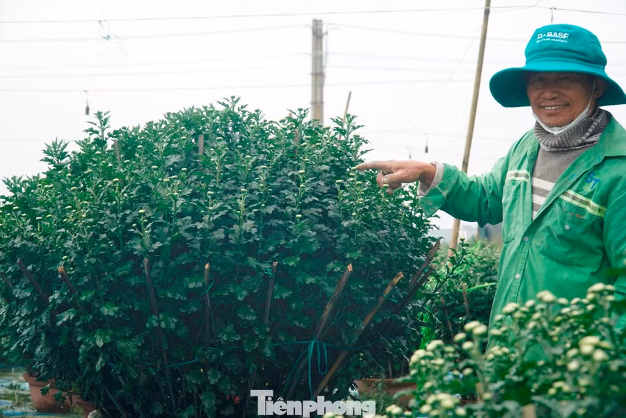 Vụ hoa Tết năm nay tại Huế dù chi phí đầu tư tăng cao, thời tiết vẫn tiềm ẩn nhiều rủi ro, nhưng việc nhiều vựa hoa phục hồi nhanh, cùng với các đơn hàng được thương lái đặt sớm từ nhiều nơi, đã bắt đầu phát đi những tín hiệu tích cực. Sau thiên tai, mưa lũ với nhiều biến động, người trồng hoa xứ Huế đang tràn đầy hy vọng về một mùa xuân mới no đủ, ấm áp và tươi sáng hơn.