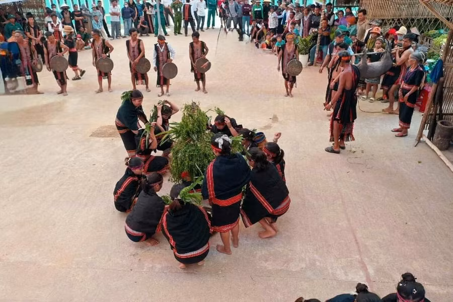 Lễ hội truyền thống của bà con dân tộc Giẻ Triêng được phục dựng ở Lao Đu